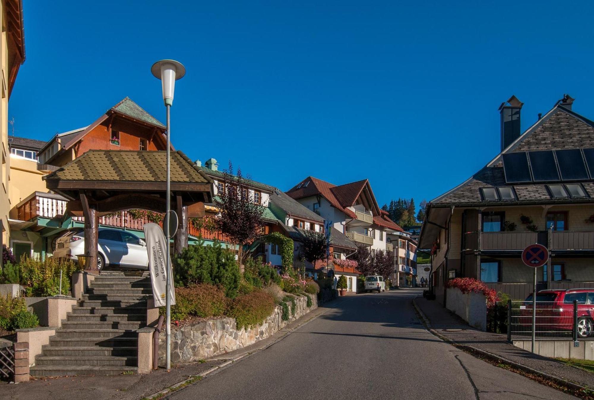 Apartment 06 - Ferienresidenz Roseneck, 2 Schlafzimmer, Mit Schwimmbad In Todtnauberg Bei Feldberg Dış mekan fotoğraf