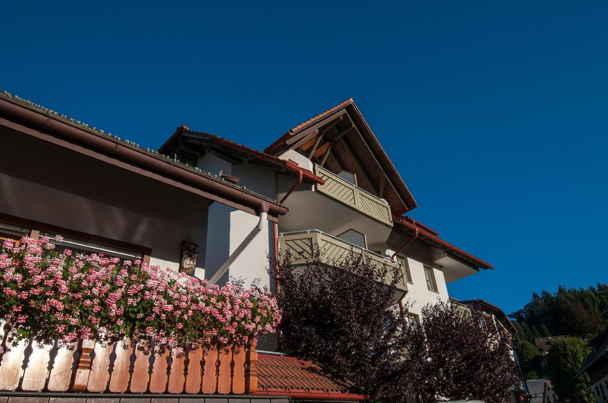 Apartment 06 - Ferienresidenz Roseneck, 2 Schlafzimmer, Mit Schwimmbad In Todtnauberg Bei Feldberg Dış mekan fotoğraf