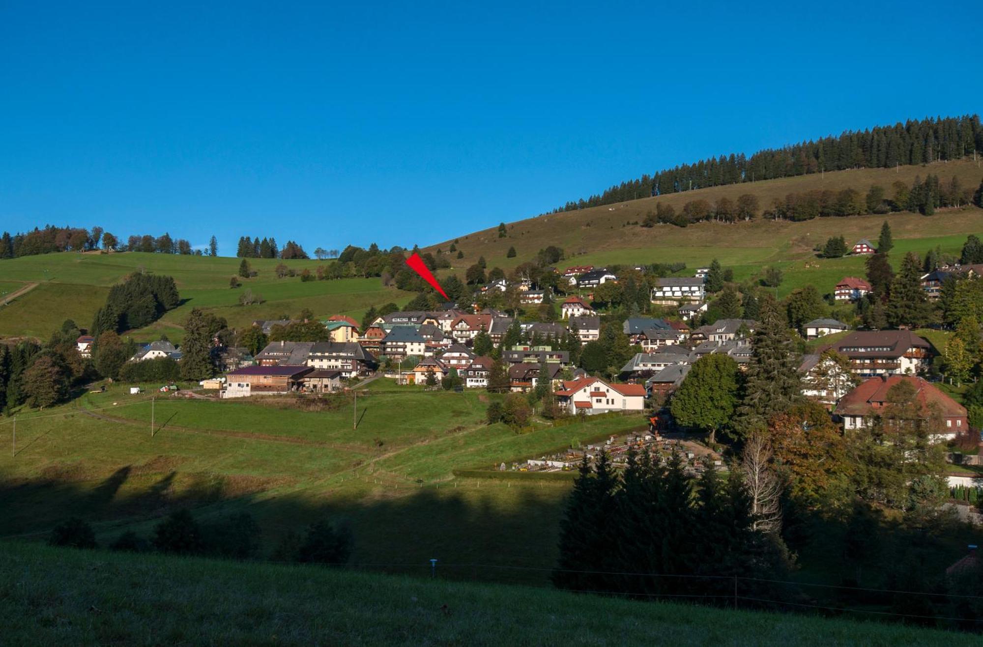 Apartment 06 - Ferienresidenz Roseneck, 2 Schlafzimmer, Mit Schwimmbad In Todtnauberg Bei Feldberg Dış mekan fotoğraf